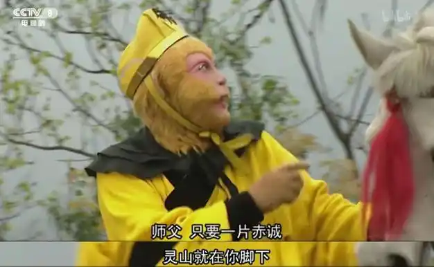 年少时不能遇见太惊艳的猴