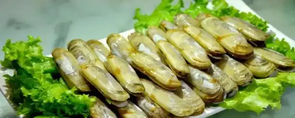 蛏子怎么读拼音