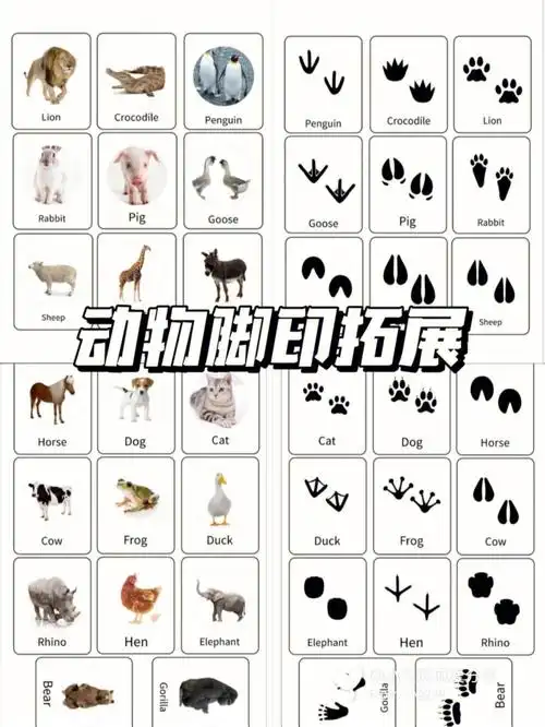 在家早教动物脚印拓展