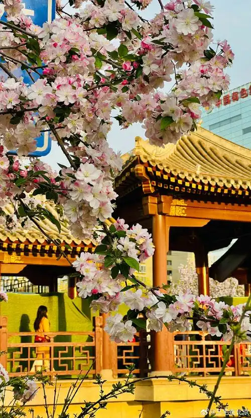 北京的春色##元大都遗址公园