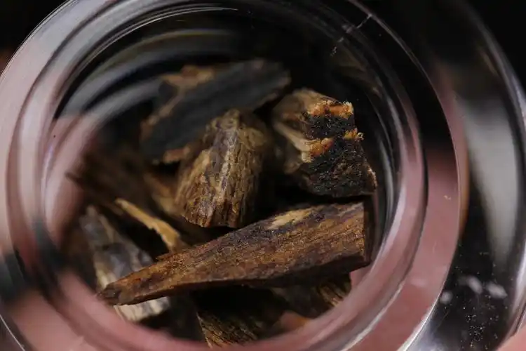 影响沉香品质的几个因素