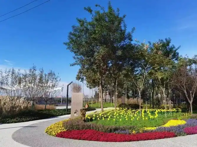 西安市高陵区泾渭分明处宛若画里行