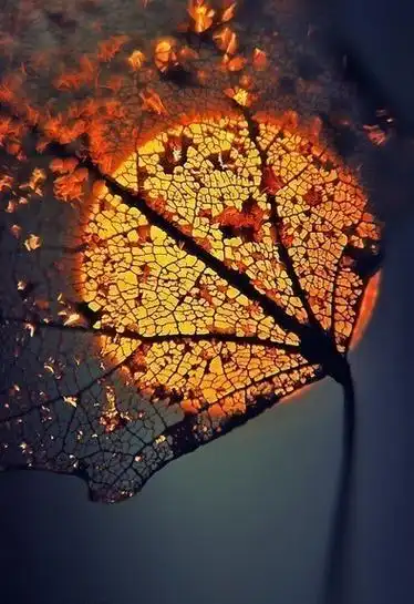 唯美意境伤感lomo个性忧伤意境图片