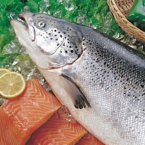 冷冻挪威进口三文鱼 冰冻三文鱼 整条6-7公斤