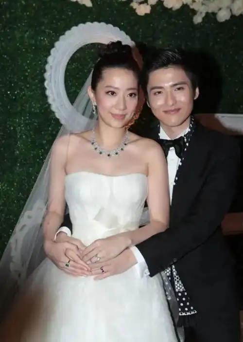 他坐拥百亿身家,经锥心之痛,娶甄子丹妻妹后重生|汪圆圆|蔡志明|舒淇