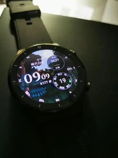 已出出一个华为手表gt2proecg版