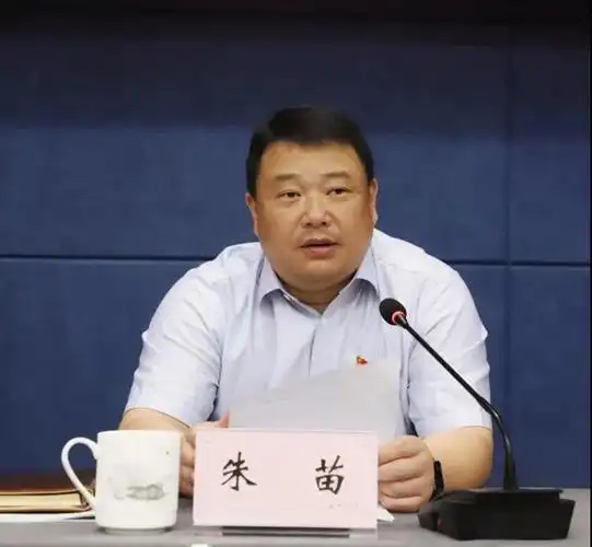 扫黑除恶回头看南湖区打造风清气朗的优越环境