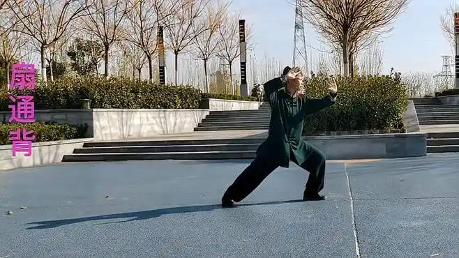 杨式传统太极拳85式—海底针,扇通背-体育视频-搜狐视频