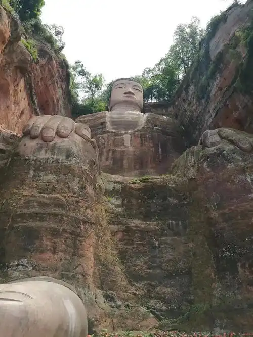 豆瓣上乐山大佛受害者小组的成员千万别来澳洲香蕉很大