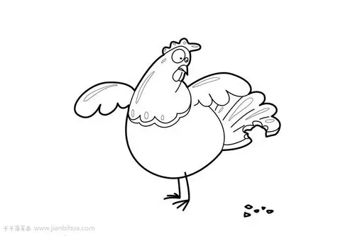 值得收藏的鸡简笔画
