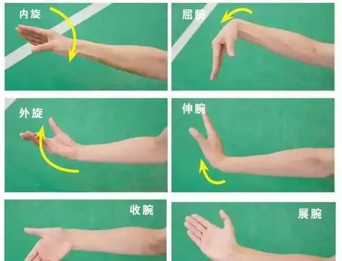 在羽毛球运动中,手腕技巧的运用比较多,经常用到的有展腕,屈腕,收腕等