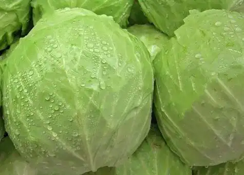 莲花白是什么菜