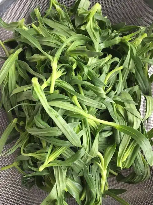 农村常见100种野菜图片及名称大全(农村常见的野菜图片及名称)_商机网