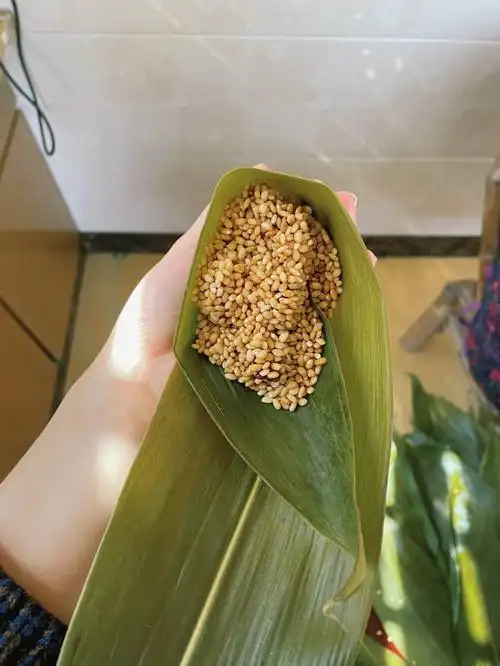 第一次包粽子 包出了三角形粽子home made 最美味#包粽子