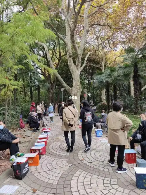 人民公园这相亲角,看一路吐槽一句