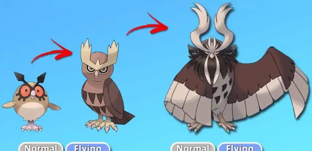 这是从咕咕进化而来的鸟类宝可梦,有着猫头鹰的特征,曾经在动漫中出现