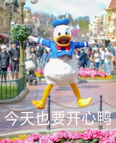 今天超级开心鸭