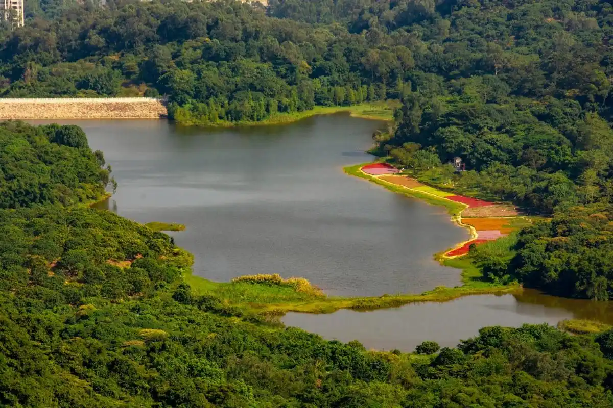 广州徒步|黄山鲁森林公园|有花94有山水 黄山鲁森林公园91 是广州