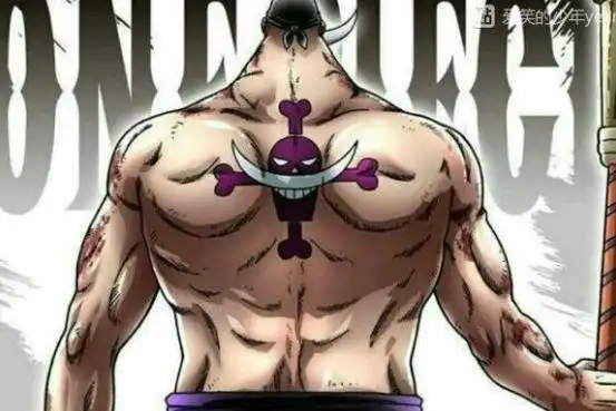 白胡子作为七武海之一的女帝汉库克也有一生都不愿回忆的悲惨童年