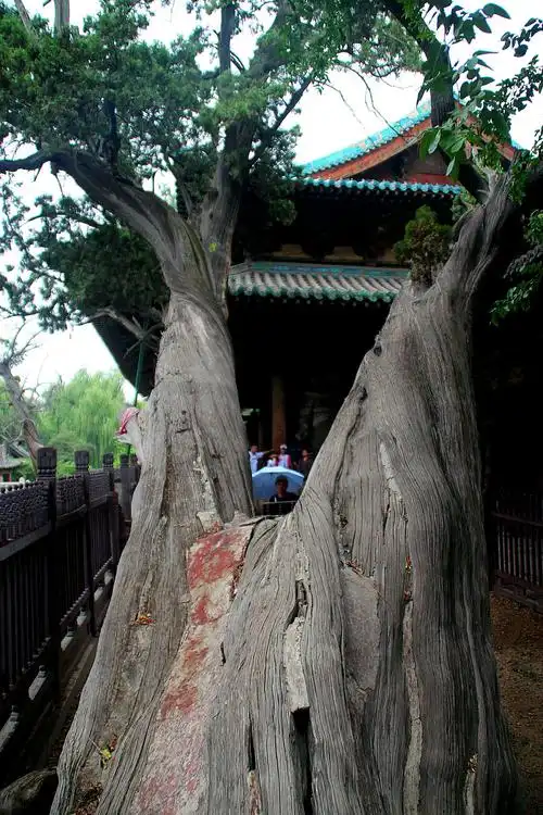 「秦晋行」④晋祠 - 美篇
