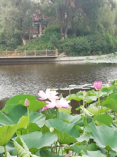 幸福满屋的美篇开原人民公园