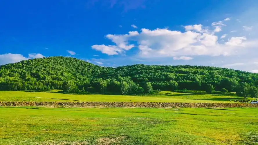 荣耀9x 4800万双摄体验 乌兰布统大草原