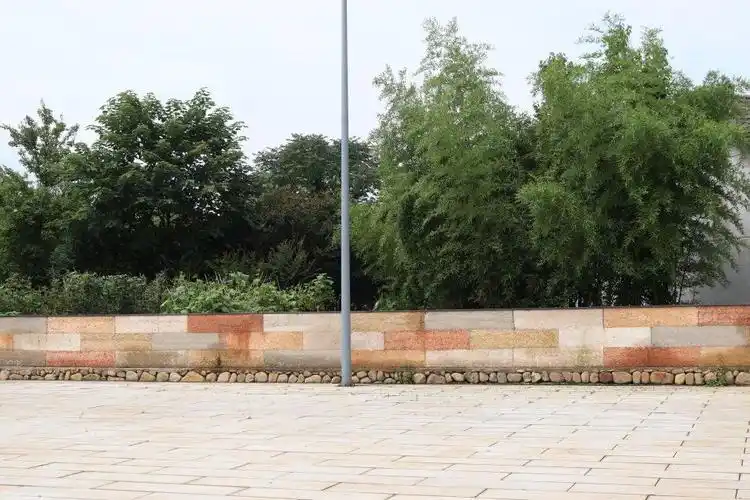 园林学院走进夯土建筑助力美丽乡村