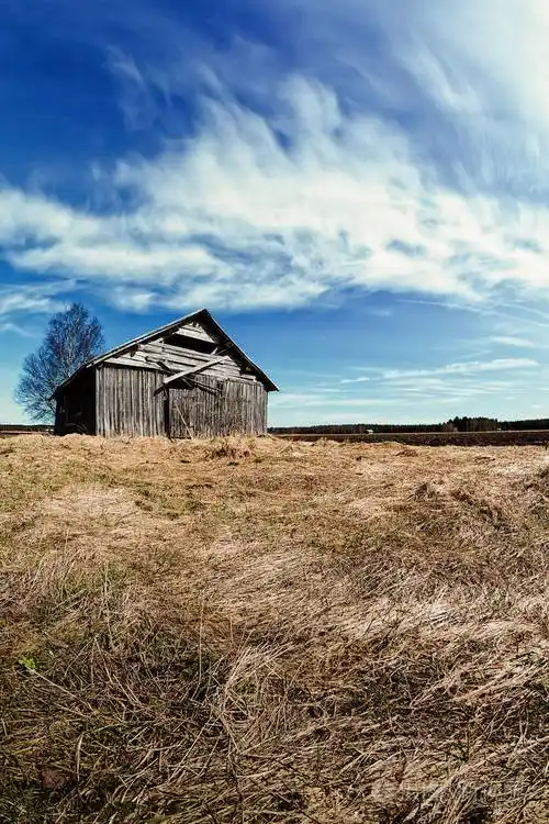 一座古老的谷仓房子矗立在芬兰北部春天的田野上天气越来越暖和但大