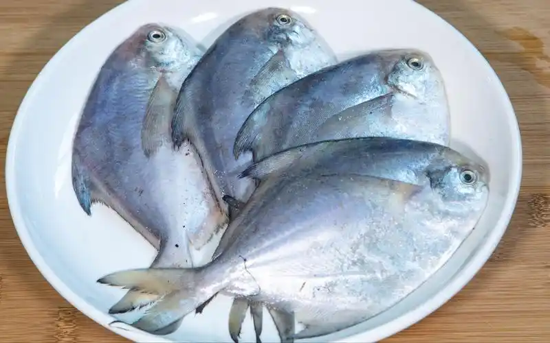 鲳鱼粉丝煲渔民家常海鲜做法,原汁原味的鲜,热气腾腾喝起来舒坦