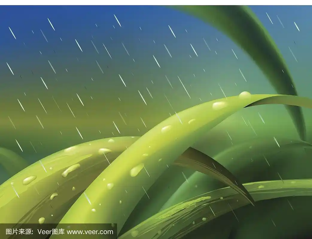 草,雨,绘画插图,水,艺术