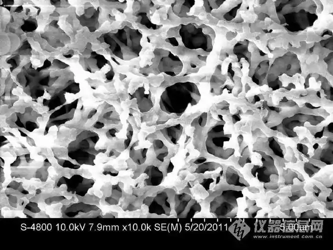电子显微镜 扫描电镜(sem/eds)