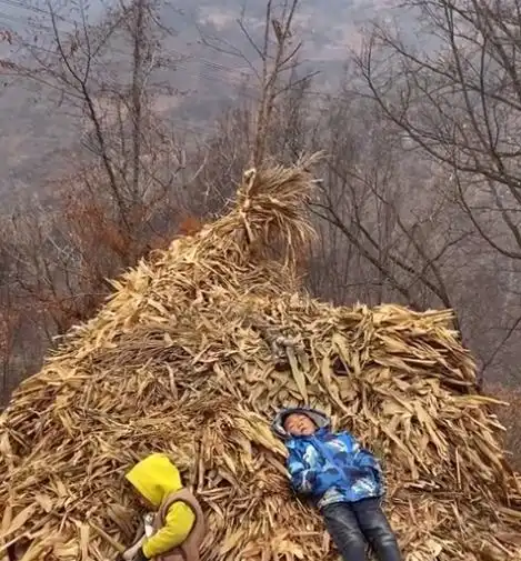 四川孩子们在草垛上睡觉,无忧无虑让网友共鸣:回不去的童年时光
