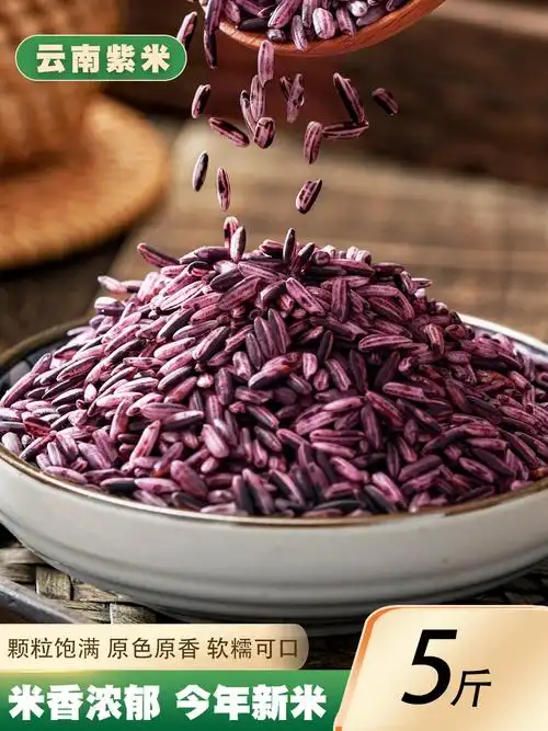 云南紫米5斤新货 农家自产紫糯米血糯米老品种黑糯米五谷杂粮粗粮