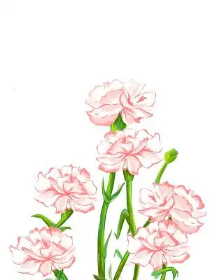 粉色手绘卡通康乃馨花朵母亲节元素png素材