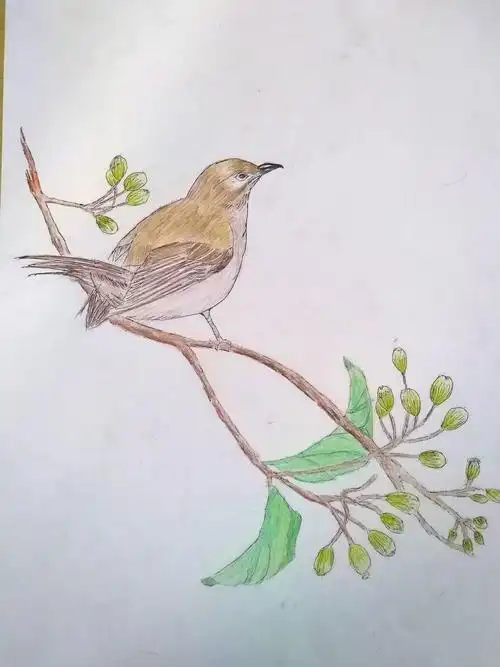 初中部美术作品展