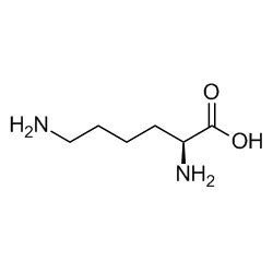 25104-18-1 | 聚赖氨酸 | poly-l-lysine| amar试剂| 上海屹昶化学