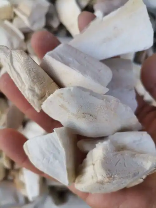 [海螵蛸批发]海螵蛸 乌贼骨 各种规格 含量高 2斤起包邮价格16元/斤 -