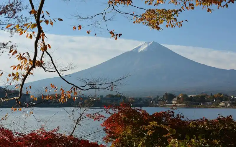电脑壁纸 风景 富士山秋色如画