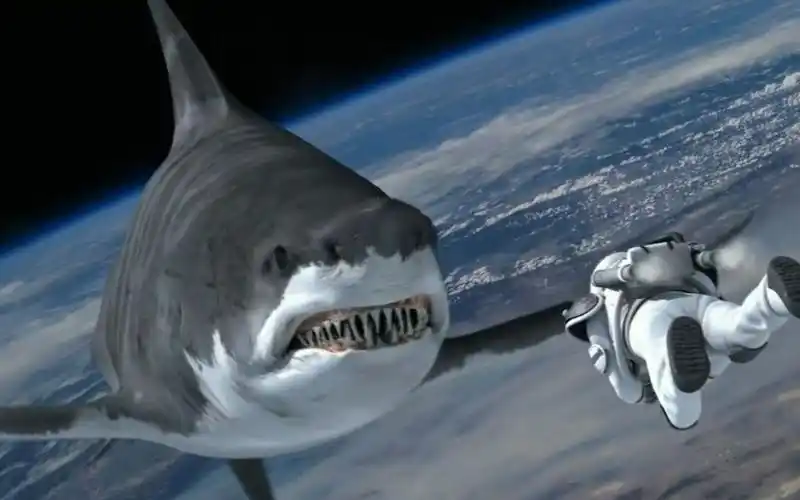 鲨鱼能在龙卷风中生存还能飞到外太空吃人这种鲨鱼太吓人了