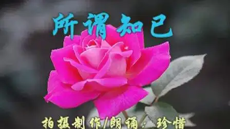 所谓知已 朗诵:珍惜