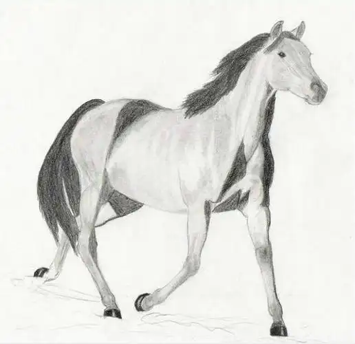 马-素描图集图片_儿童素描_少儿图库_中国儿童资_绘图吧-学画画