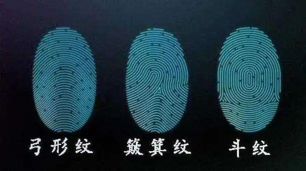 俗话一螺穷,二螺富,三螺四螺卖豆腐是何含义?