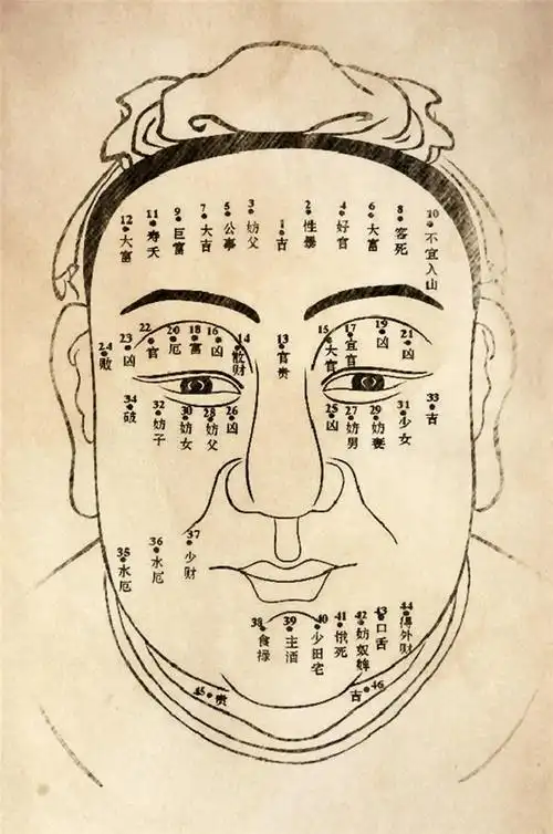 人如果做了亏心事或祖上失德或前世失德,会有一条悬针纹,这条悬针纹上