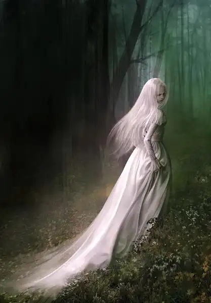 艾莎^ 真真假假,假假真真 ayeshahs secret