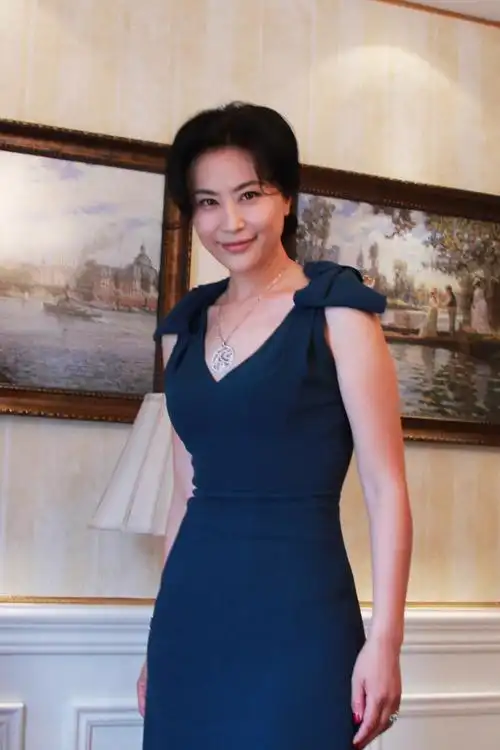 乔红《隐婚日记》谈婚姻 坦言"爱就要真诚"