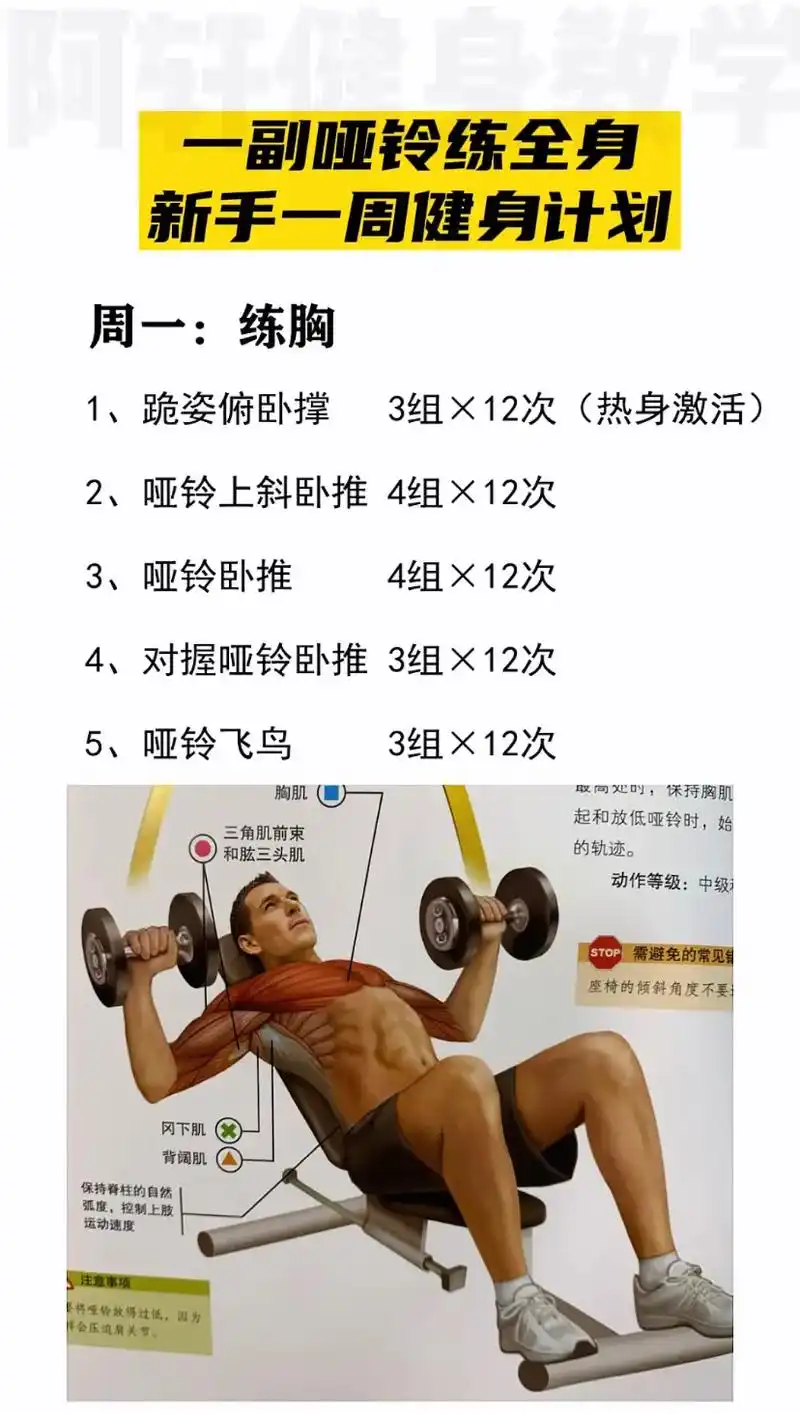 新手一周哑铃训练计划,教你在家用一副哑铃练全身!#哑铃 #燃 - 抖音