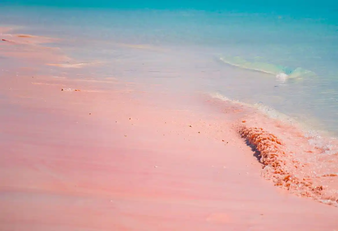 巴哈马群岛上哈勃岛,被美国《新闻周刊》评选为世界上最性感的海滩