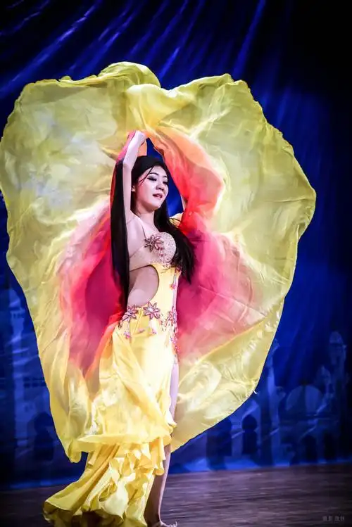 2017年11月赛普健身杯笫十二届全国肚皮舞公开赛(2) (摄影徐铁) - 美