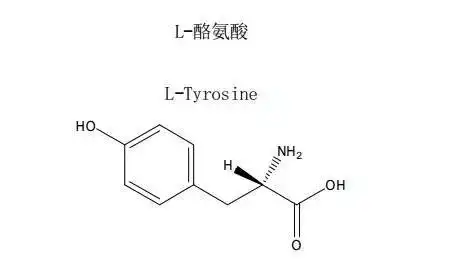 ",而它每天会把酪氨酸(一种氨基酸)当做原料,然后经过酪氨酸酶的催化