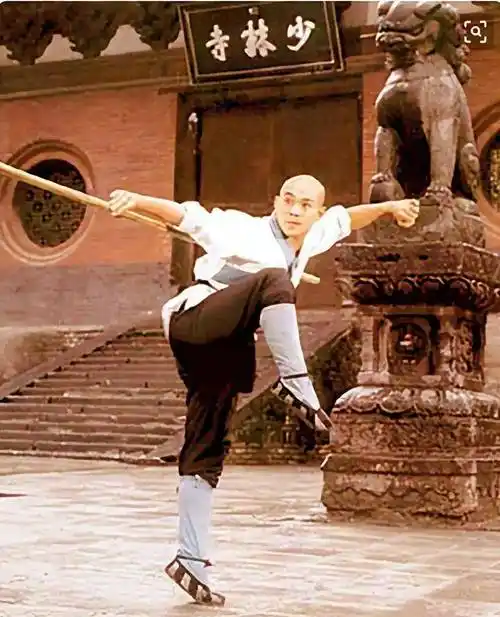 1982年,李连杰因为主演《少林寺》一举成名.